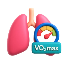 Test VO2max